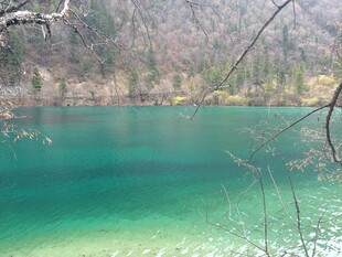 碧绿湖水与山林美景