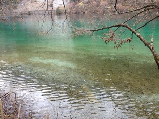 清澈碧绿的自然水域景观