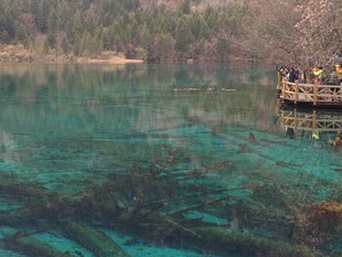 清澈湖景中的木质观景台