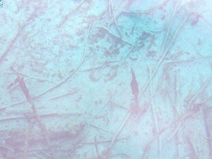 梦幻淡彩抽象纹理背景图