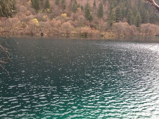 静谧幽蓝湖泊与岸边树林