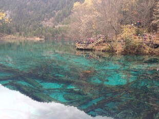 清澈蓝绿湖水自然美景