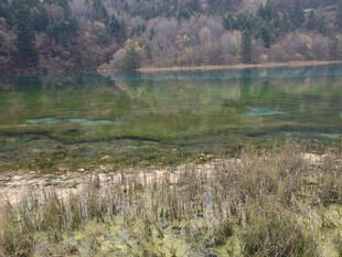 宁静湖畔自然风光