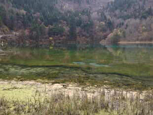 山间碧绿湖泊美景