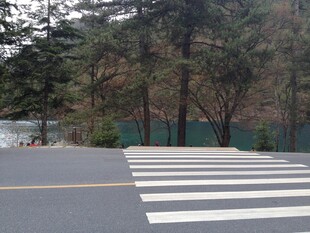 林间公路的斑马线景观