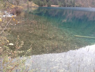 清澈湖水与岸边植被景观