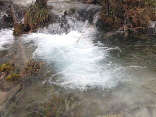 山间溪流潺潺流淌