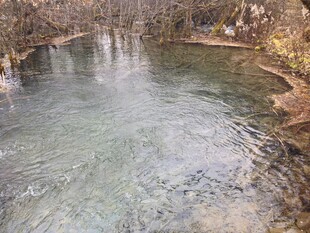 清澈溪流 自然静谧之景