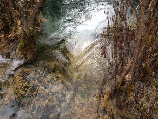 山间幽静溪流景色