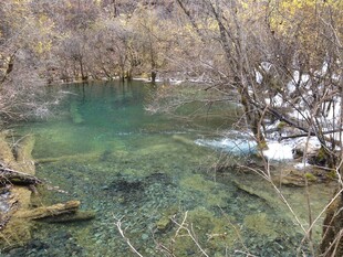 山间清澈幽潭美景
