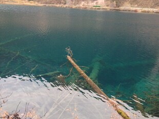 清澈湖水中的漂浮物
