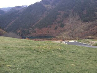 山间草地与蜿蜒道路景色