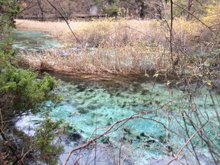 清澈蓝绿色溪流风景
