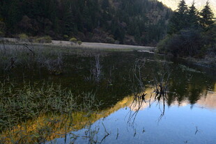 宁静湖畔山林倒影美景