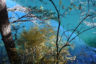 湖畔树影 碧水蓝天景致