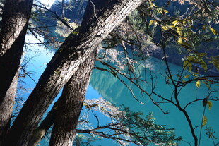 透过树枝看幽蓝湖水