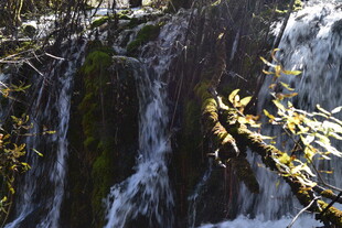 山间瀑布与金黄枝叶景观