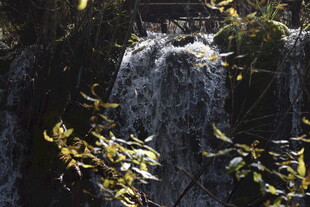 山间瀑布与繁茂枝叶