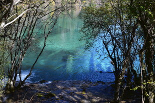 森林中的幽蓝澄澈湖水