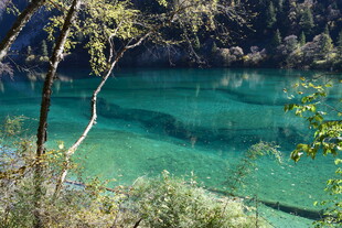 清澈碧绿的山间湖泊美景