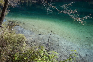 清澈见底的山间幽美水域