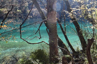 山林间的碧绿水潭