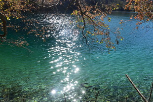 清澈湖水闪耀金色光斑