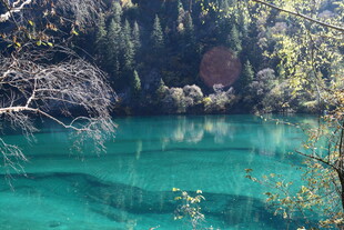 梦幻般的翠绿水边山林景色