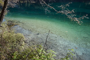 清澈碧绿的山间水域