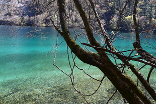 清澈蓝绿色湖水自然美景