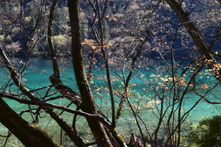 秋日山林间的幽蓝湖水