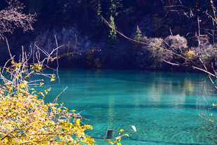 九寨沟清澈碧绿的湖水