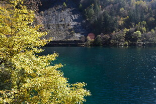 湖畔秋景 绿水与黄叶相映