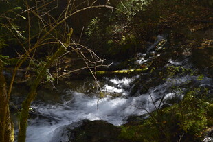 山林间的潺潺溪流