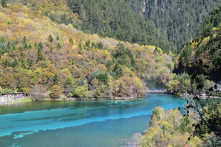 九寨沟秀丽的蓝绿色河流