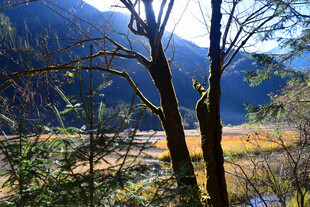 山林间的阳光风景