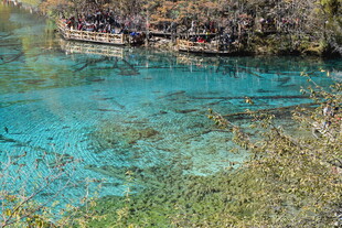 清澈蓝绿色的静谧湖水