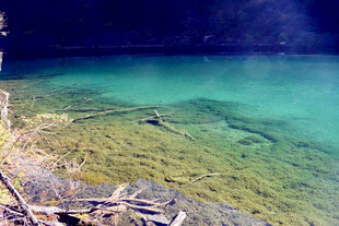 清澈见底的幽蓝水下世界