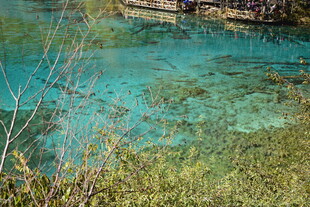 清澈蓝绿湖水与岸边植被