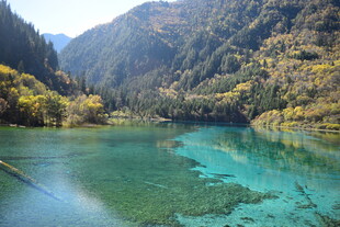 九寨沟清澈碧绿的湖景