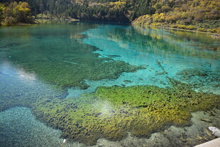 梦幻蓝绿相间的清澈湖水