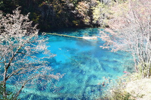 梦幻蓝湖 自然绝美之景