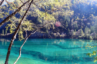 梦幻蓝湖 山林环绕之景