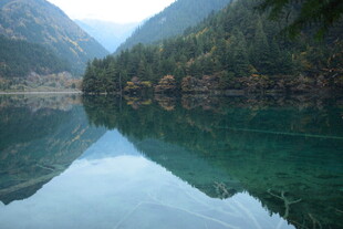 碧绿湖水映山林美景