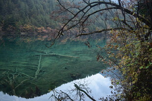 秋日幽湖 枯枝倒映美景