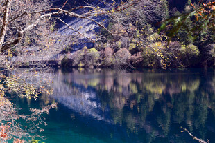 秋日山林中的静谧湖水