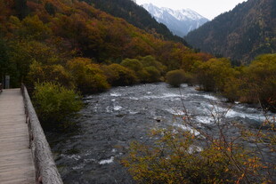 山间木栈道旁的湍急溪流