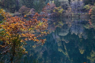 秋日湖畔斑斓景致
