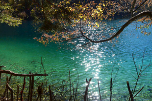 幽美湖景 林间光影映碧波