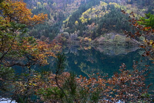 秋日山林中的静谧湖泊